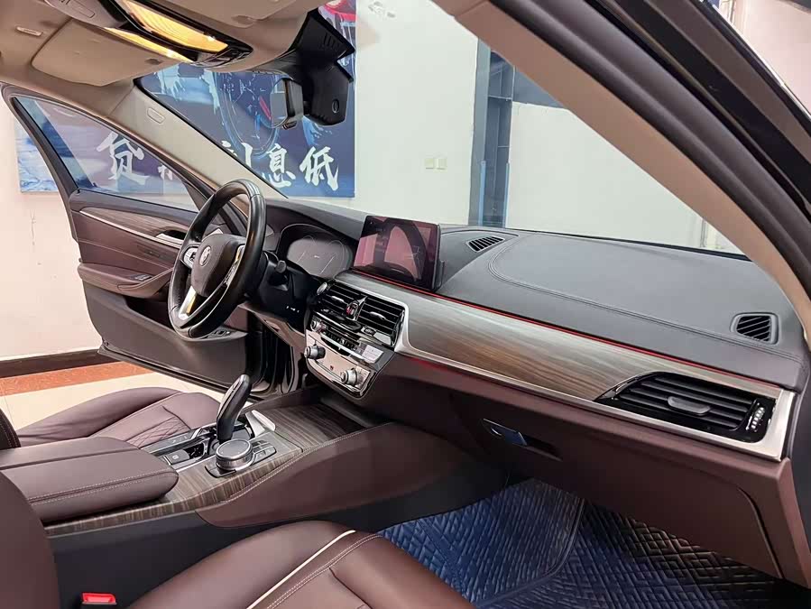 BMW 5 Series New Energy 2019 car image #8