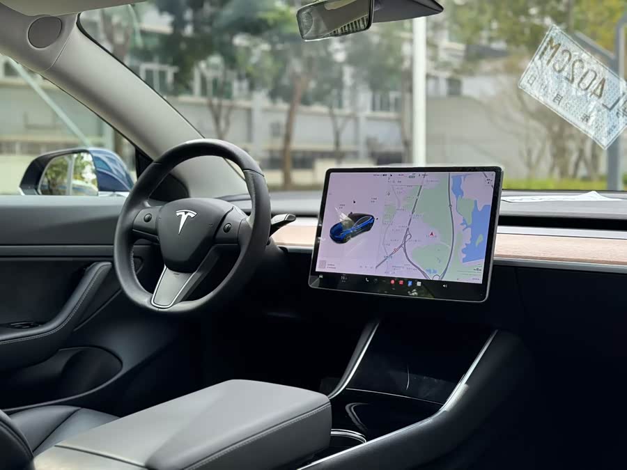 Tesla Model 3 2020 #8 Tesla Model 3 2020 صورة سيارة #8