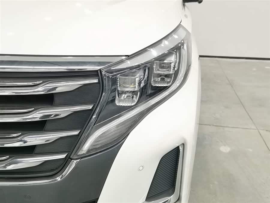 GAC Trumpchi M8 2020 immagine di auto #8