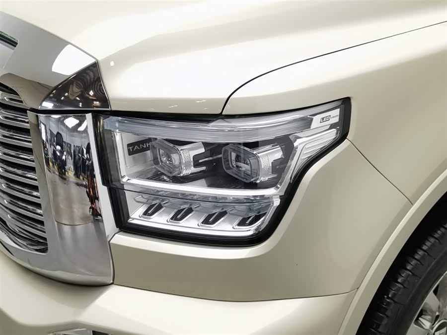 Tank 500 2022 car image #8