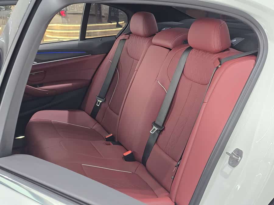 BMW 5 Series 2021 car image #8