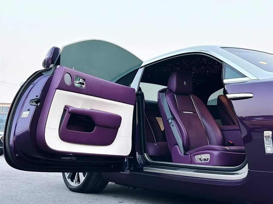 Denza Wraith 2019 #8 Denza Wraith 2019 car image #8