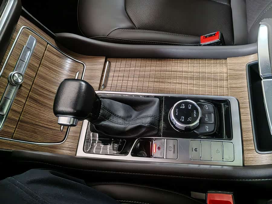 Roewe RX8 2020 изображение автомобиля #8