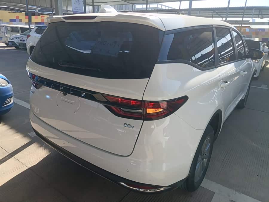 睿蓝汽车 枫叶80v 2021 汽车图片 #8