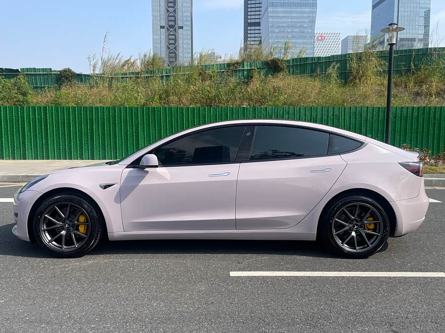 Tesla Model 3 2020 image de voiture #8