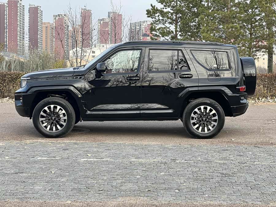 Tank 700 New Energy 2025 immagine di auto #8