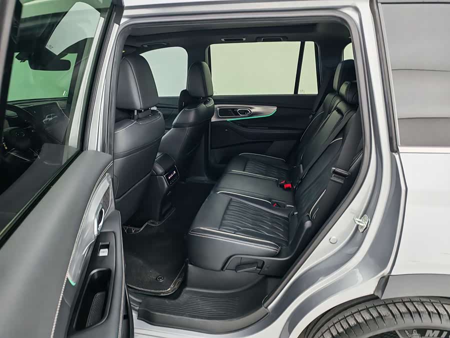 GAC Trumpchi GS8 2021 car image #8