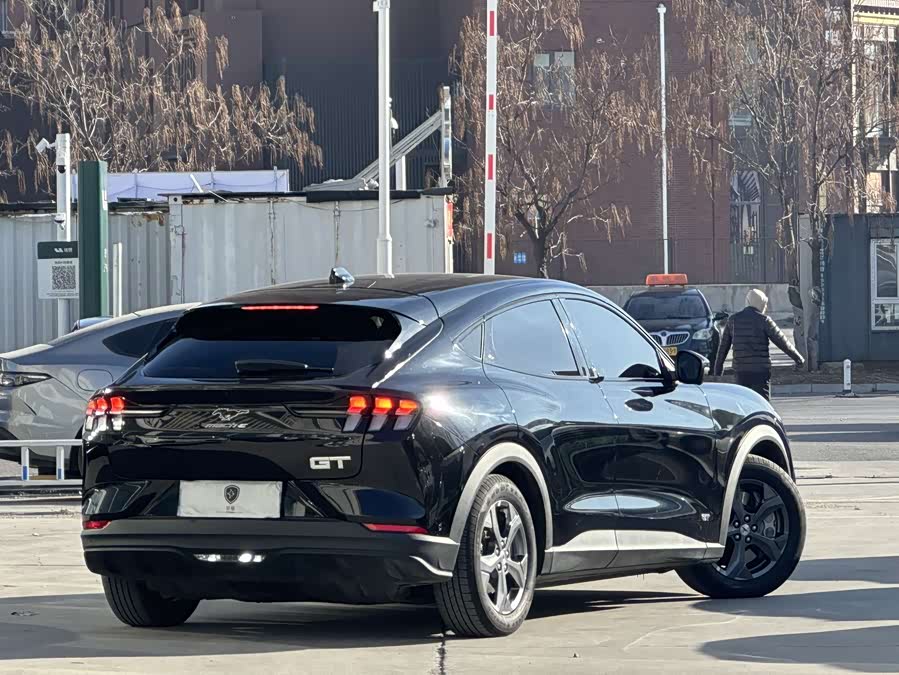 Ford Mustang Mach-E 2022 car image #8