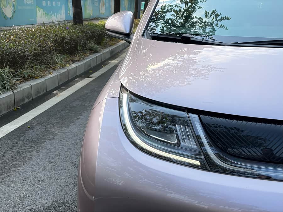 比亚迪 海豚 2022 汽车图片 #8