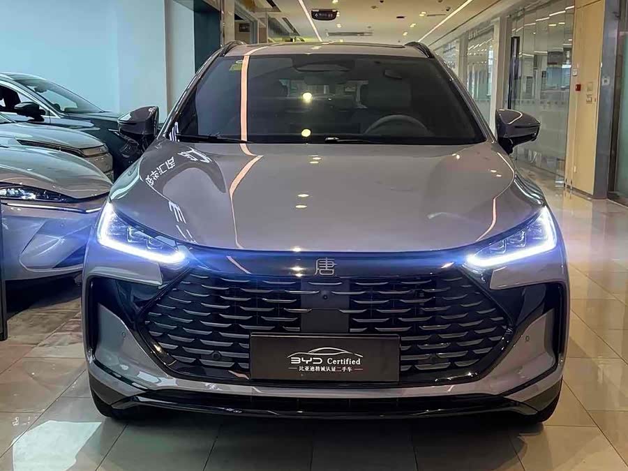 BYD Tang New Energy 2025 car image #8