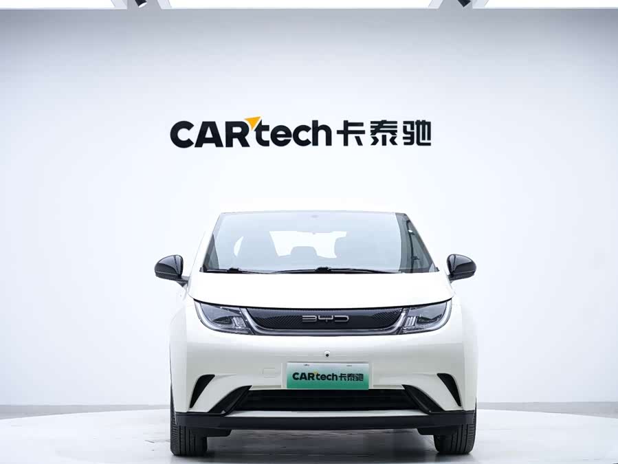 BYD Dolphin 2022 #8 BYD Dolphin 2022 immagine di auto #8