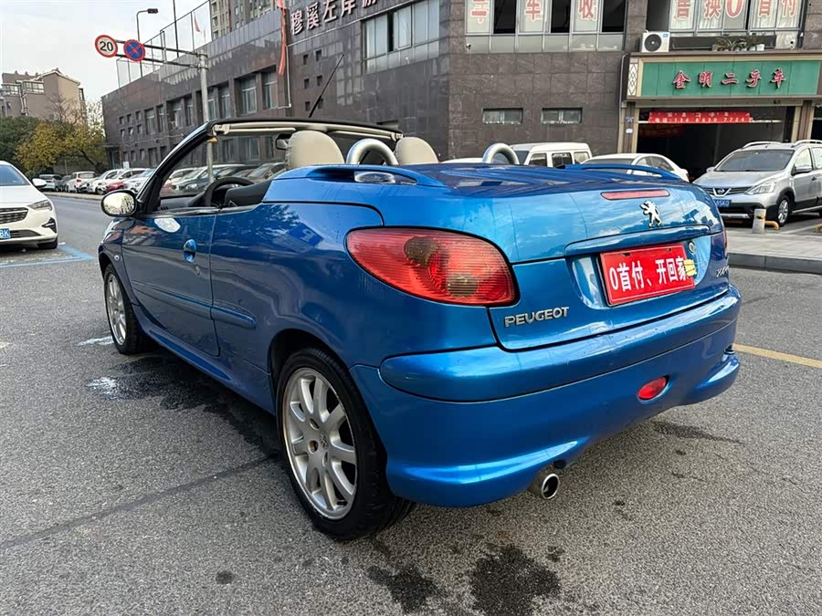 标致 标致206(进口) 2007 汽车图片 #8