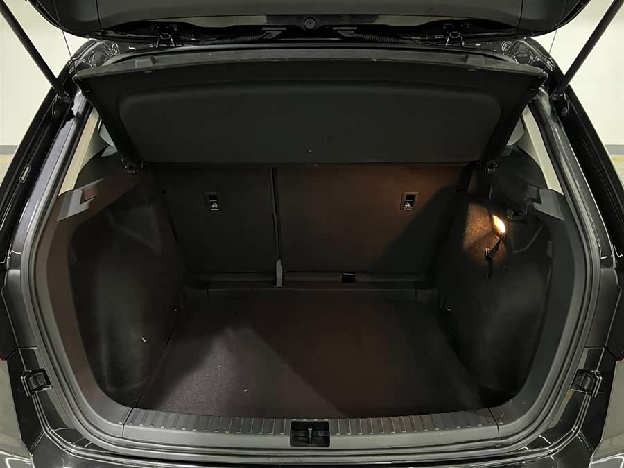 Volkswagen Tharu 2021 car image #8