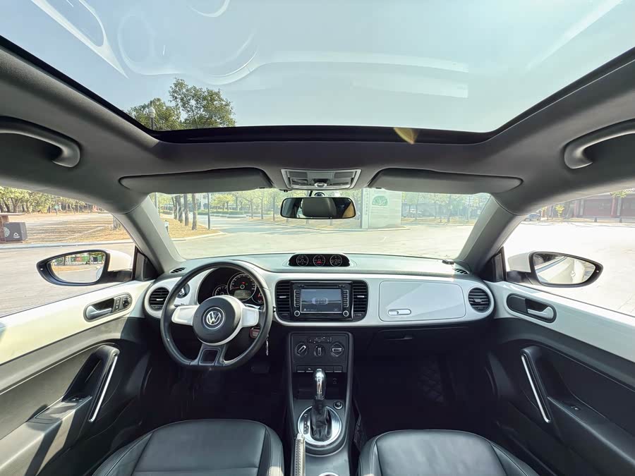 Volkswagen Beetle 2013 immagine di auto #8