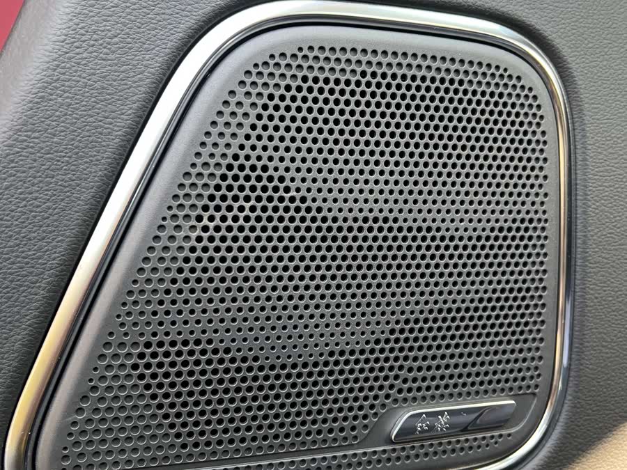 HongQi E-HS9 2023 صورة سيارة #8