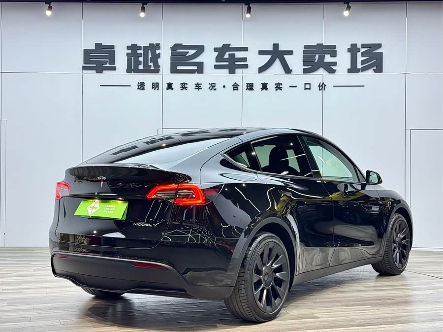 Tesla Model Y 2021 #8 Tesla Model Y 2021 car image #8
