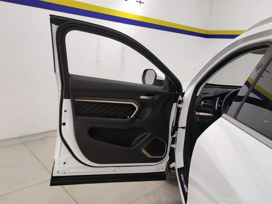 Haval H6 2021 car image #8