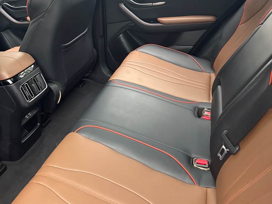 BYD Song Plus 2021 immagine di auto #8