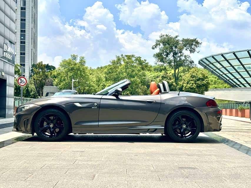 BMW Z4 2010 #8 BMW Z4 2010 صورة سيارة #8