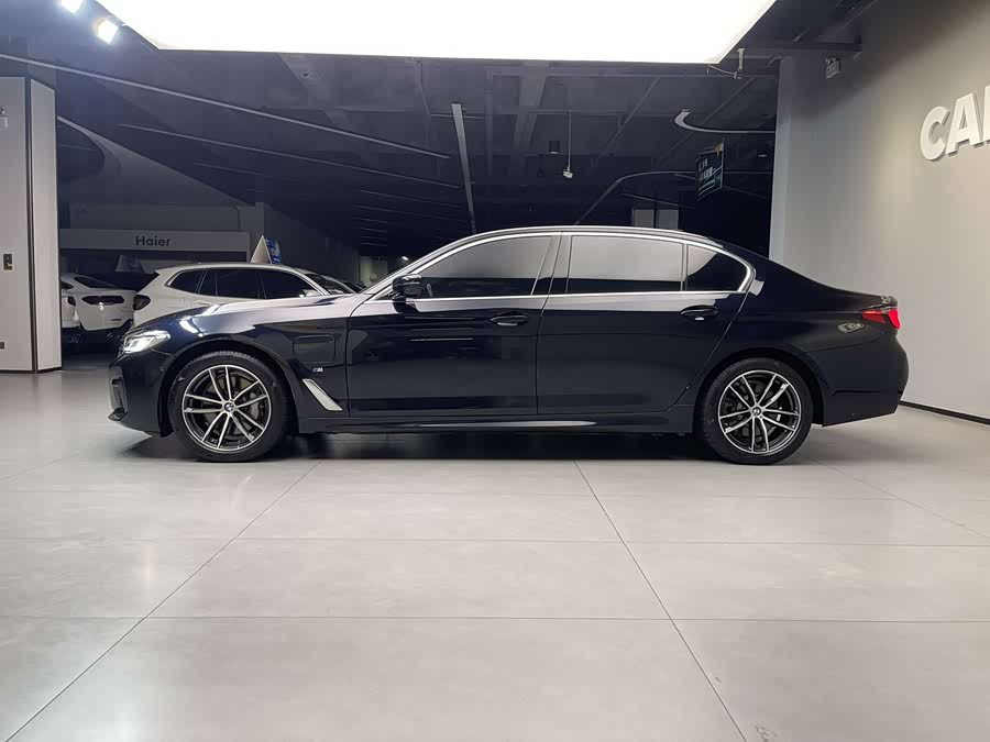 BMW 5 Series New Energy 2021 car image #8