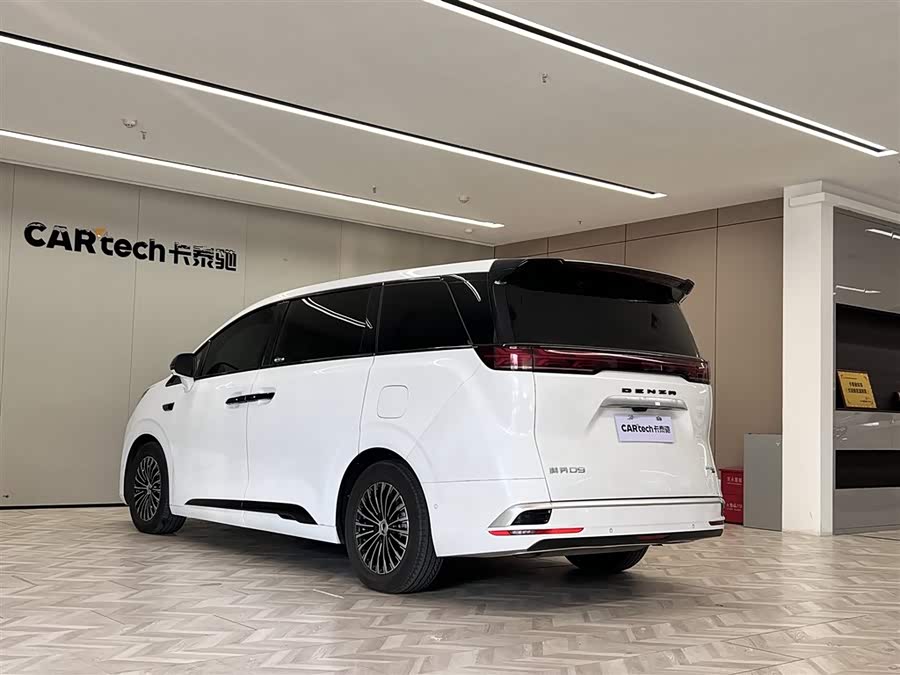 Denza D9 2025 car image #8