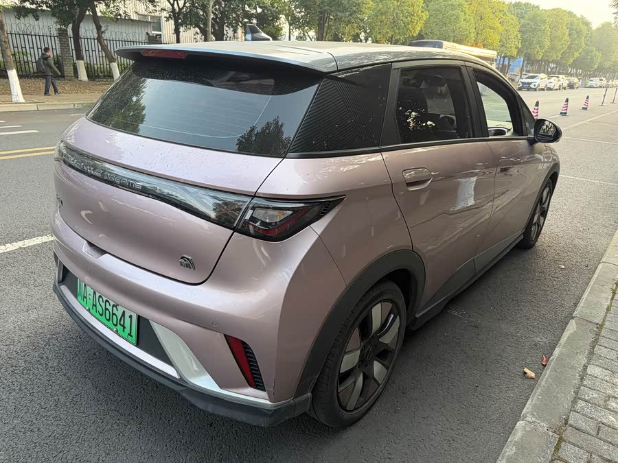 BYD Dolphin 2022 car image #8