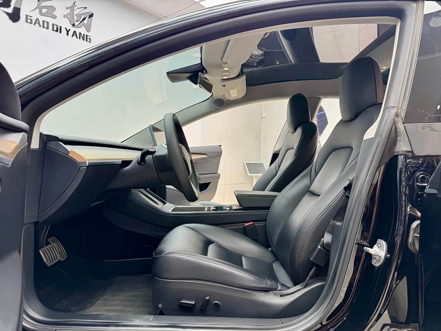 Tesla Model 3 2021 car image #8