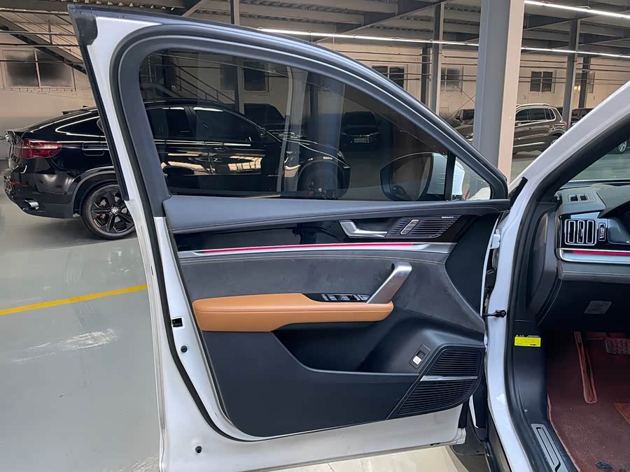 BYD Tang New Energy 2023 car image #8