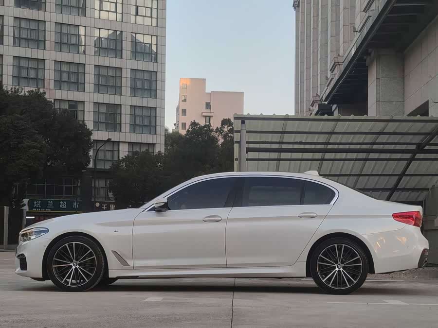 BMW 5 Series 2020 car image #8