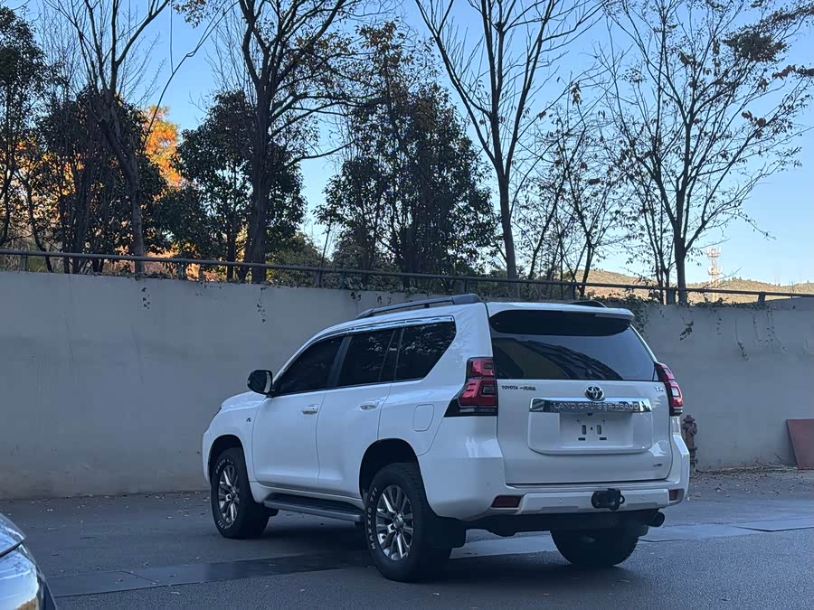 Toyota Land Cruiser Prado 2019 #8 Toyota Land Cruiser Prado 2019 car image #8