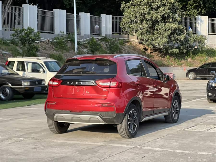 睿蓝汽车 枫叶30X 2021 汽车图片 #8