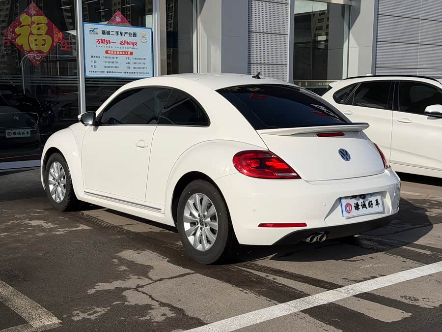 Volkswagen Beetle 2014 immagine di auto #8