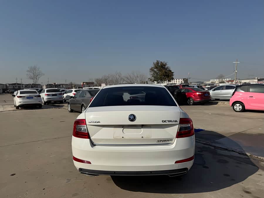 Skoda Octavia 2017 car image #8