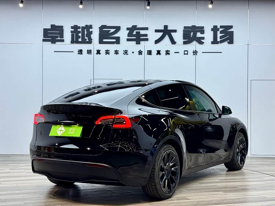 Tesla Model Y 2021 car image #8