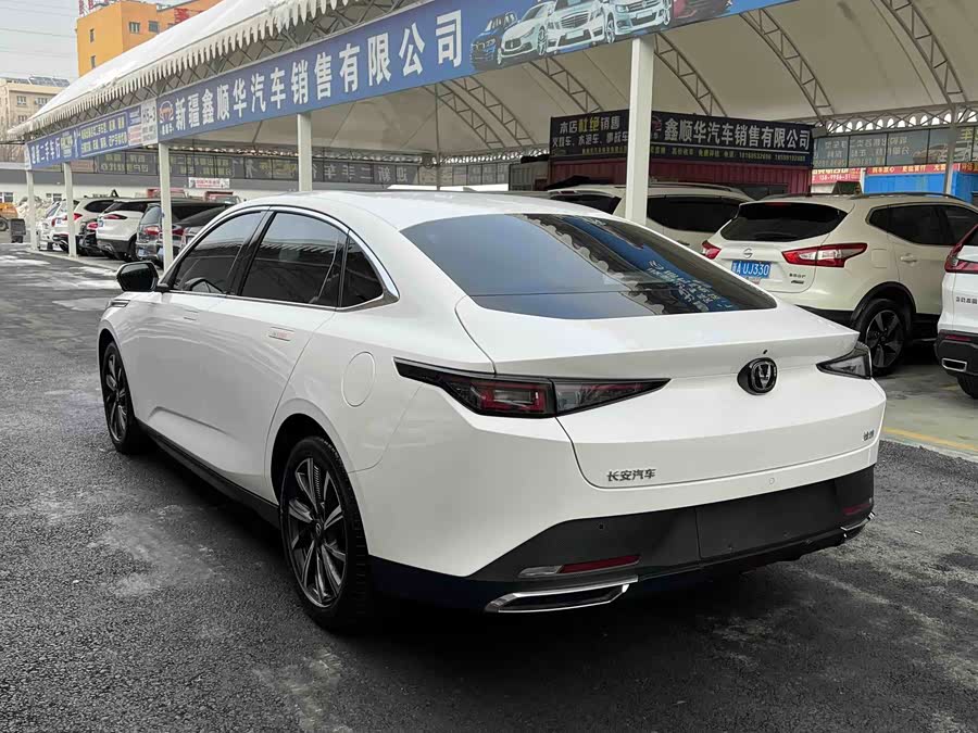 Changan Eado 2024 car image #8