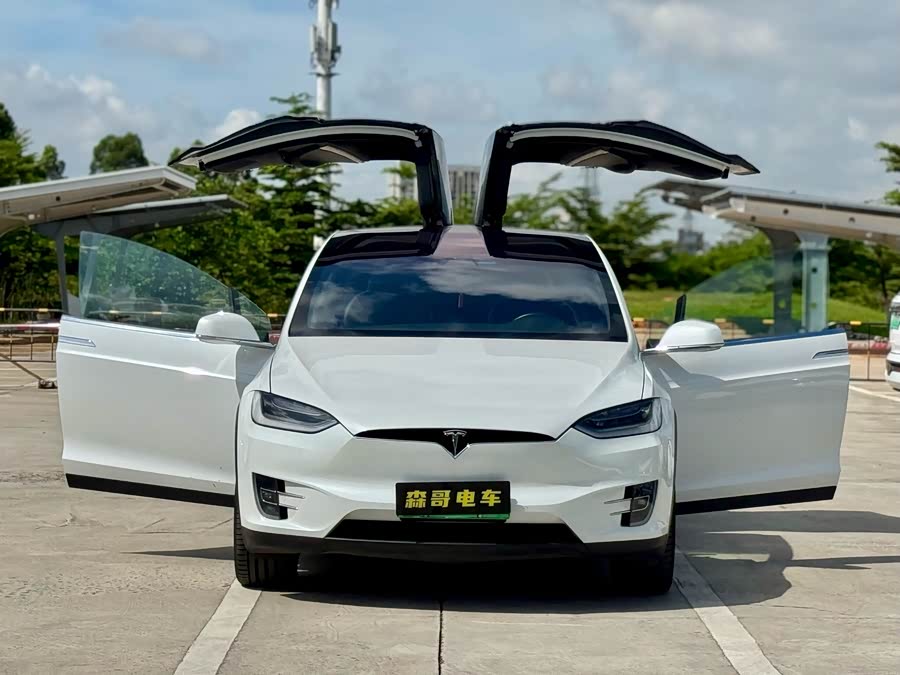 特斯拉 Model X 2020 汽车图片 #8