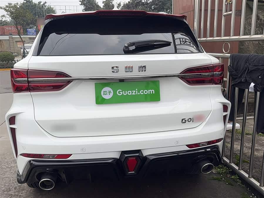 SWM G01FF 2024 #8 SWM G01FF 2024 car image #8