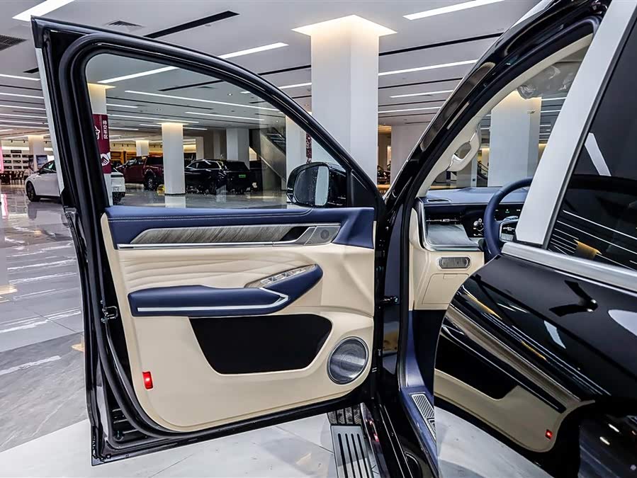 Tank 500 New Energy 2025 #8 Tank 500 New Energy 2025 car image #8