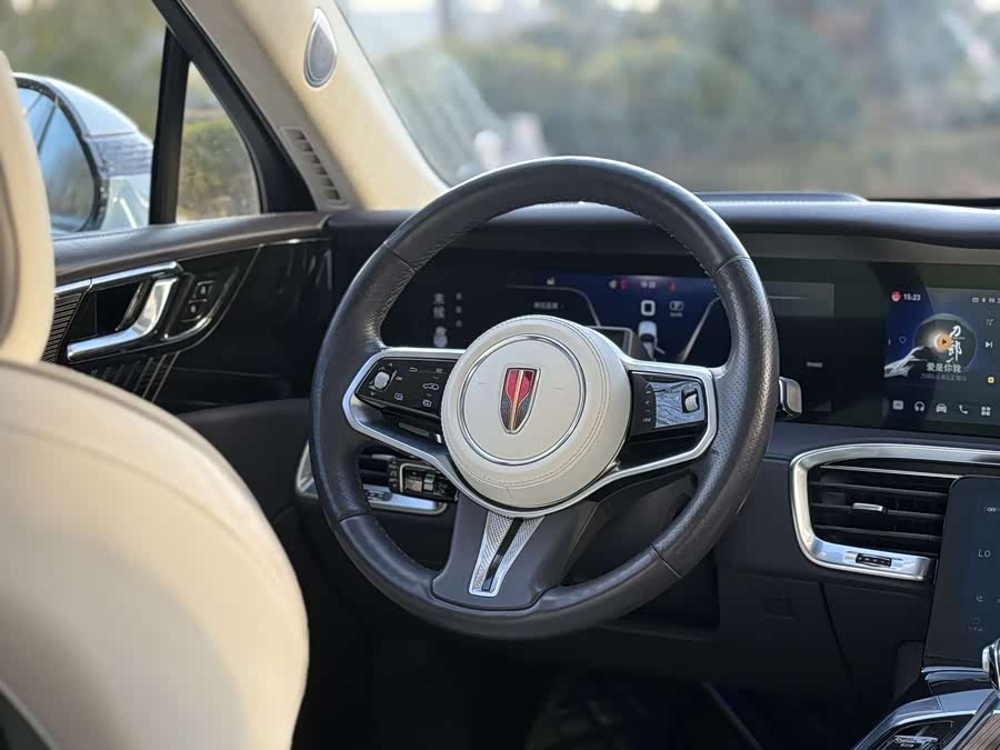 HongQi E-HS9 2020 image de voiture #8