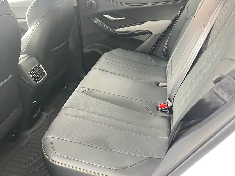 BYD Sea Lion 05 DM-i 2025 car image #8