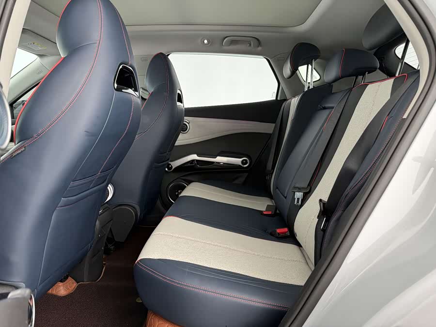 BYD Yuan Plus 2022 car image #8