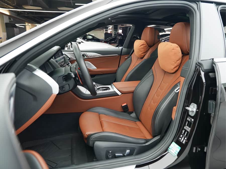 BMW 8 Series 2020 car image #8