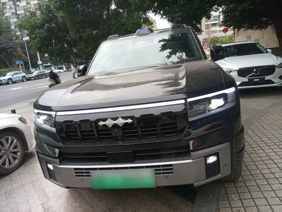 FangChengBao Leopard 8 2024 immagine di auto #8