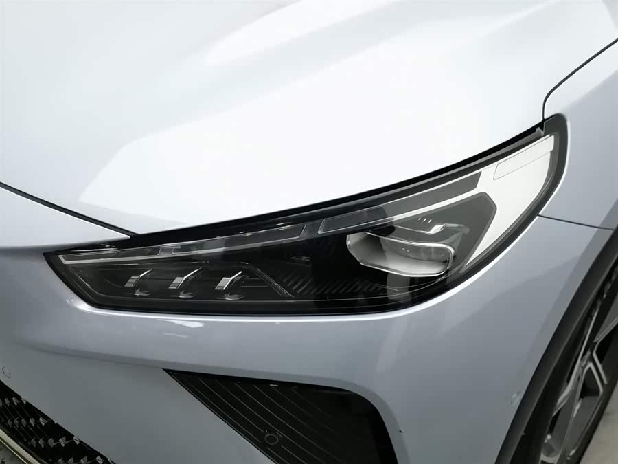 Neta L 2024 imagen de coche #8