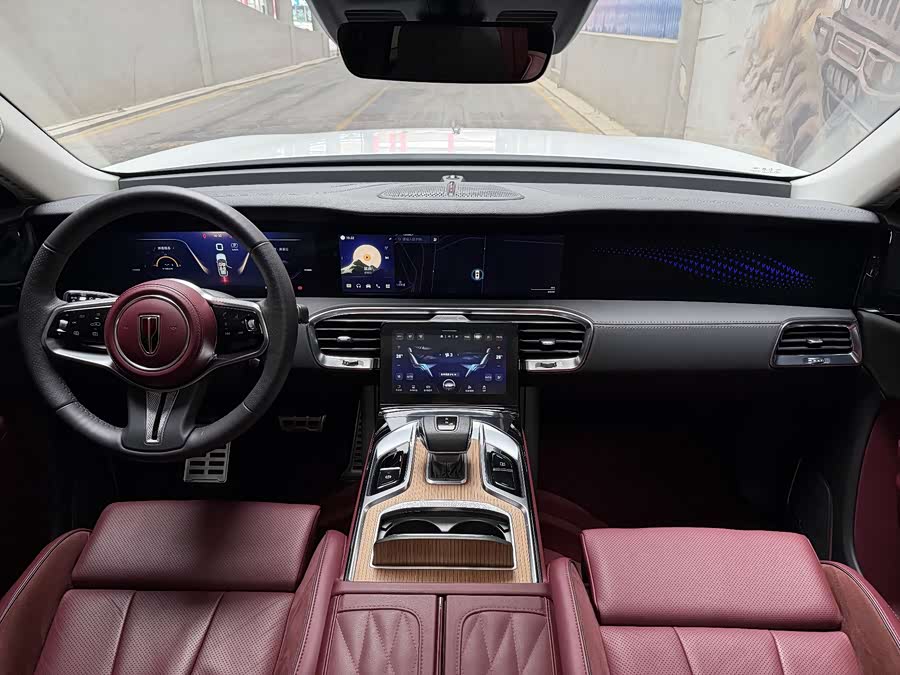 HongQi E-HS9 2023 car image #8