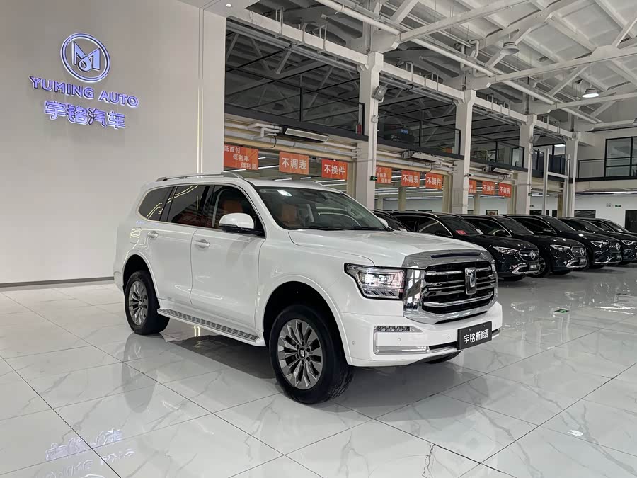 Tank 500 New Energy 2024 car image #8