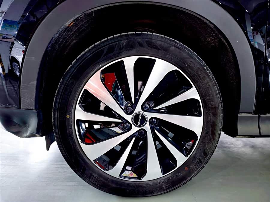 BYD Song Plus New Energy 2023 car image #8