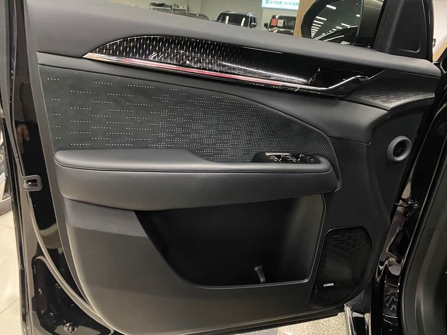 极氪 极氪009 2024 汽车图片 #8