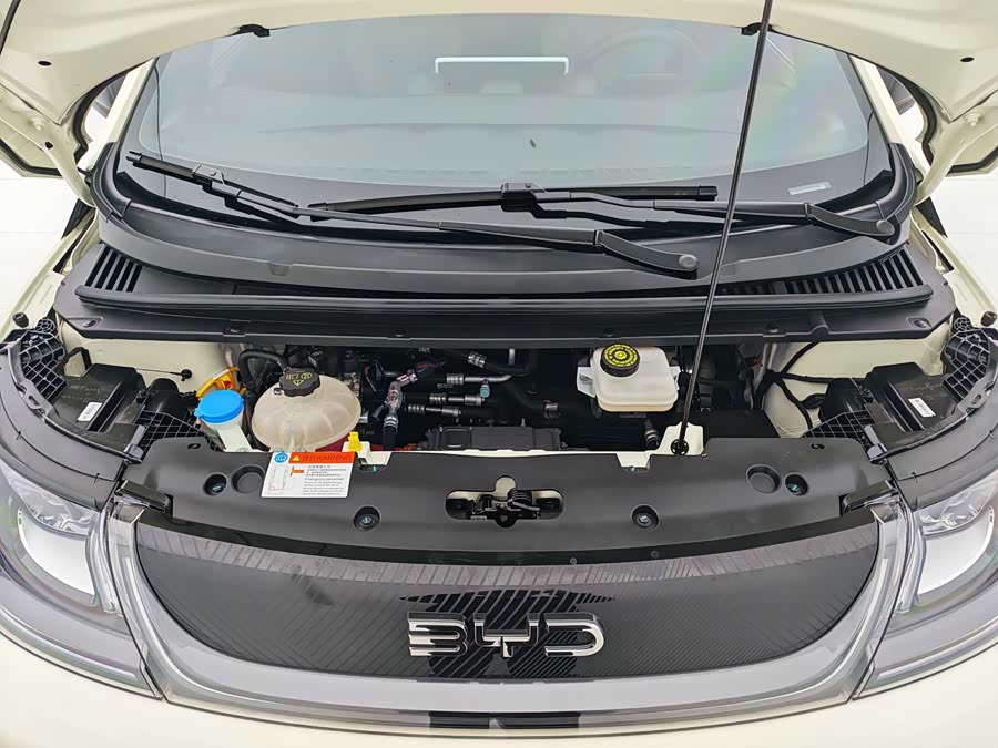 BYD Dolphin 2024 #8 BYD Dolphin 2024 изображение автомобиля #8