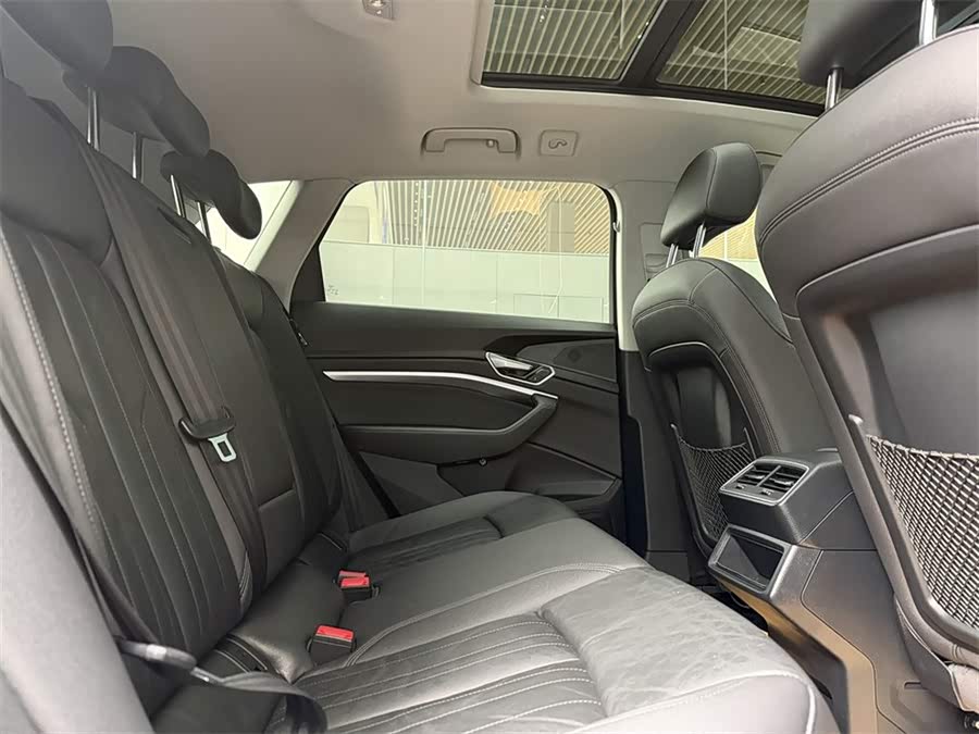 奥迪 奥迪e-tron(进口) 2021 汽车图片 #8